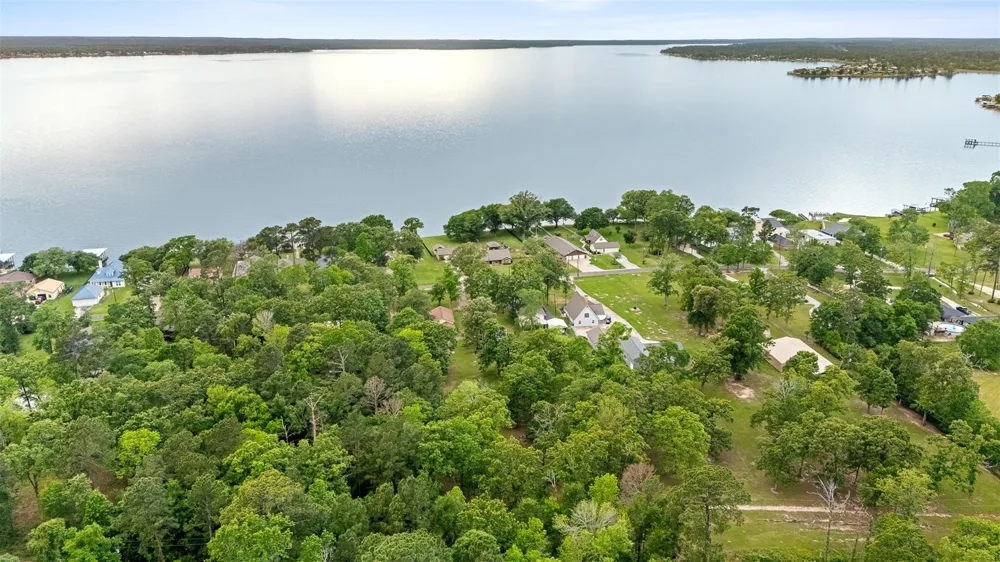 439 Lakeview Harbor Onalaska, TX 77360