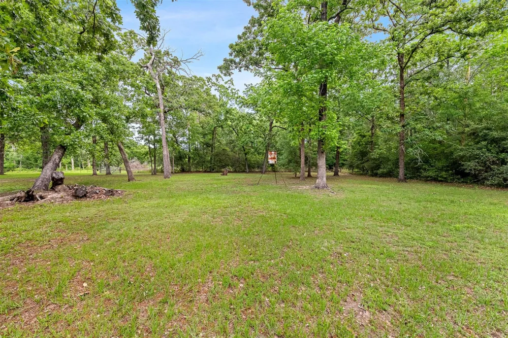 439 Lakeview Harbor Onalaska, TX 77360