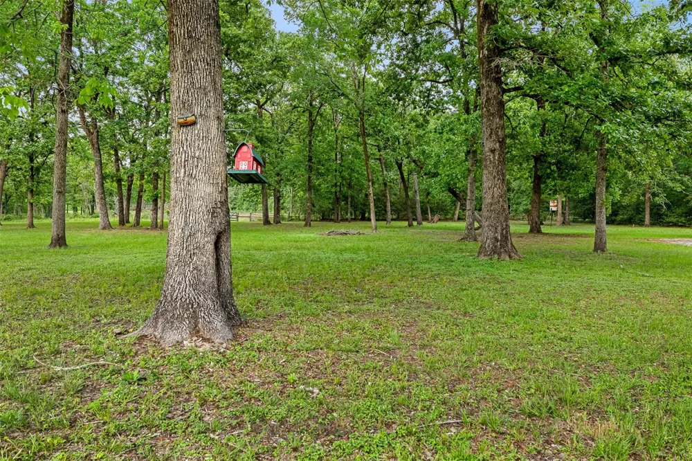 439 Lakeview Harbor Onalaska, TX 77360