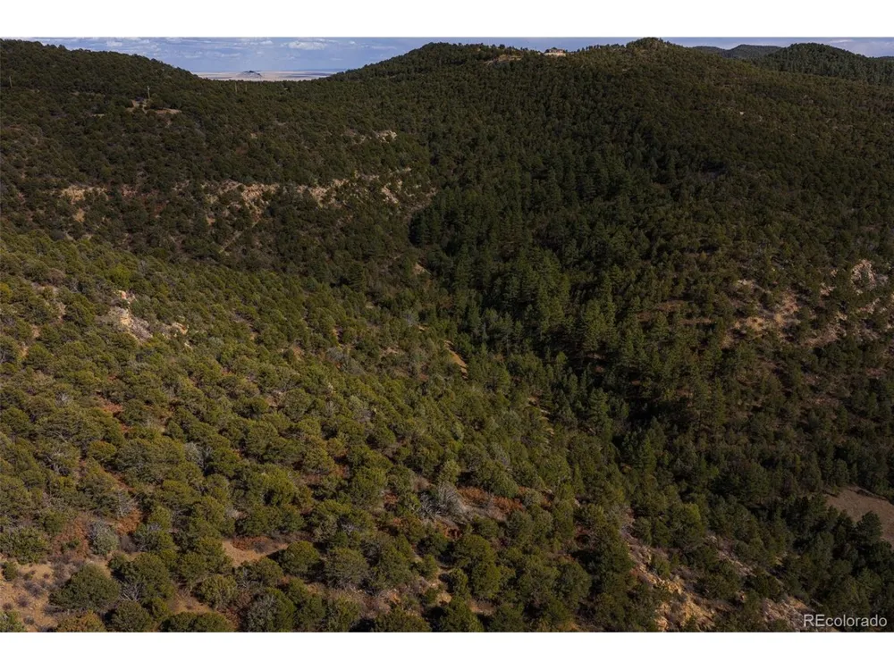 84 North Mountain Walsenburg, CO 81089