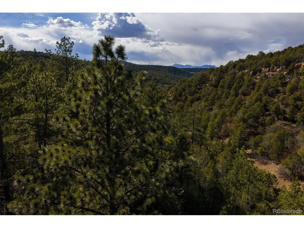 84 North Mountain Walsenburg, CO 81089