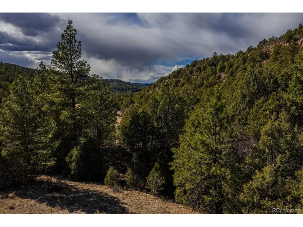 84 North Mountain Walsenburg, CO 81089