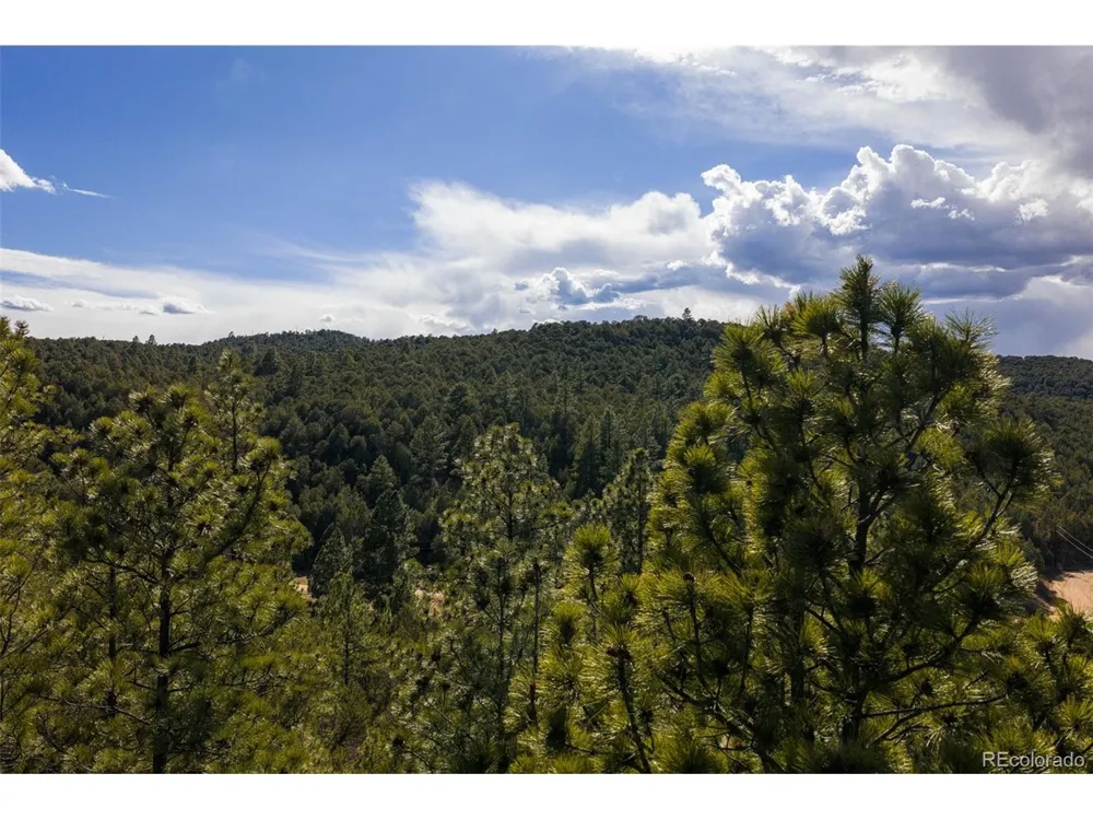 84 North Mountain Walsenburg, CO 81089