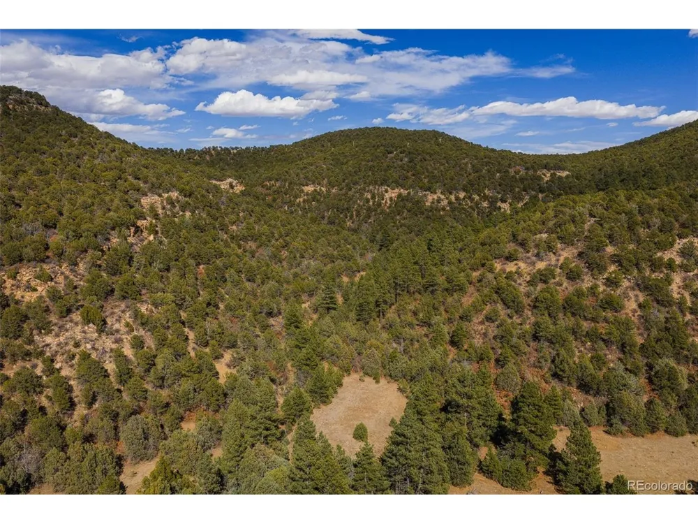 84 North Mountain Walsenburg, CO 81089