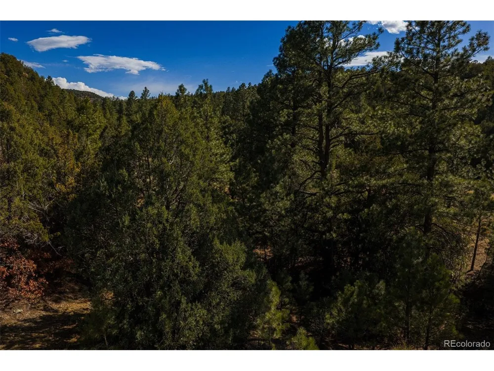 84 North Mountain Walsenburg, CO 81089