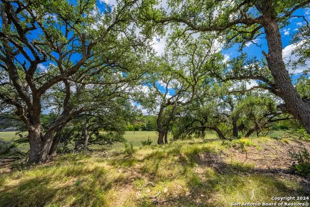 6477 ranch road 783 Harper, TX 78631