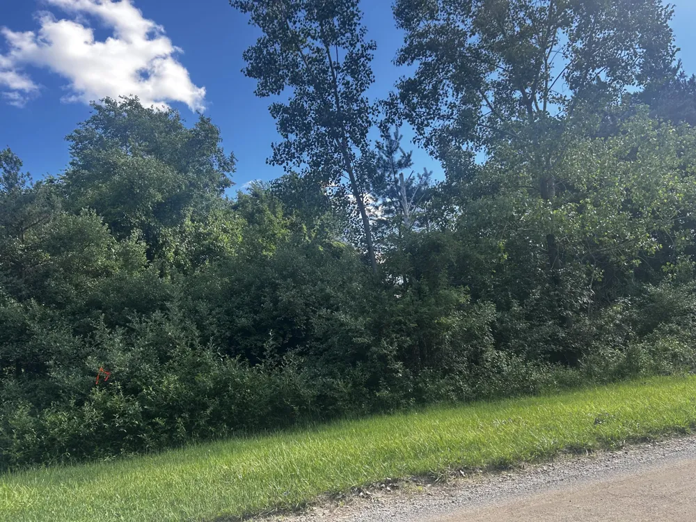 W Ranger Road #119 lot Perrinton, MI 48871