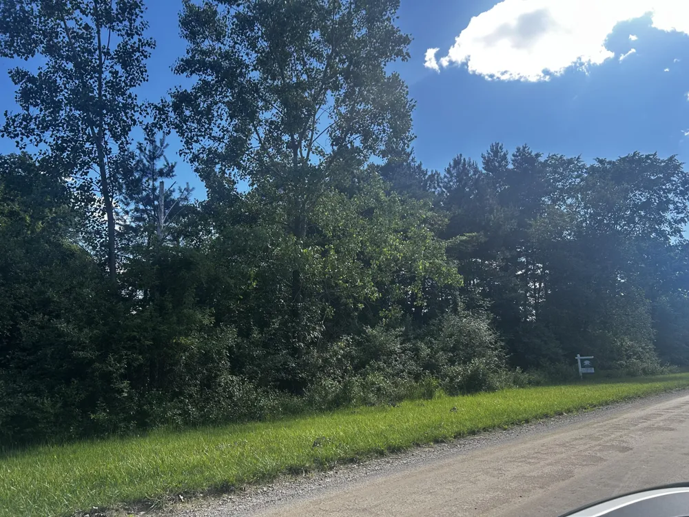 W Ranger Road #119 lot Perrinton, MI 48871