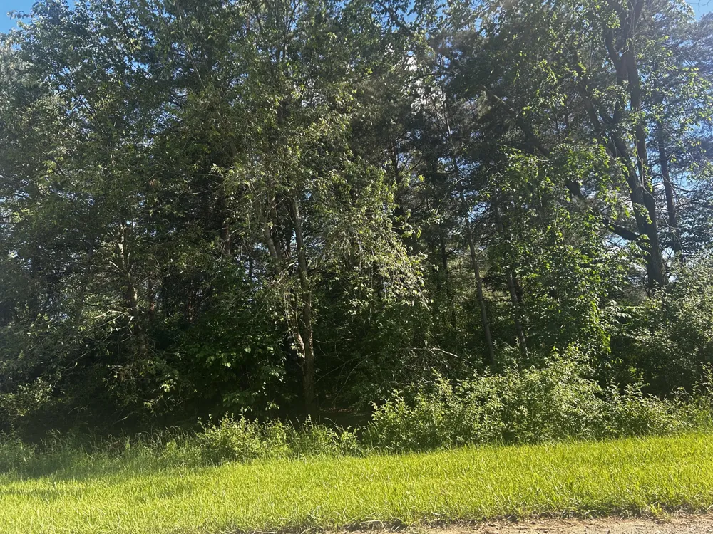 W Ranger Road #119 lot Perrinton, MI 48871