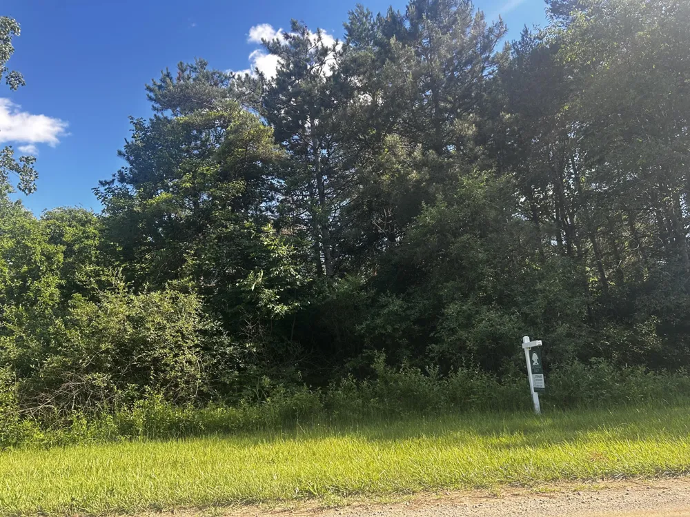W Ranger Road #119 lot Perrinton, MI 48871
