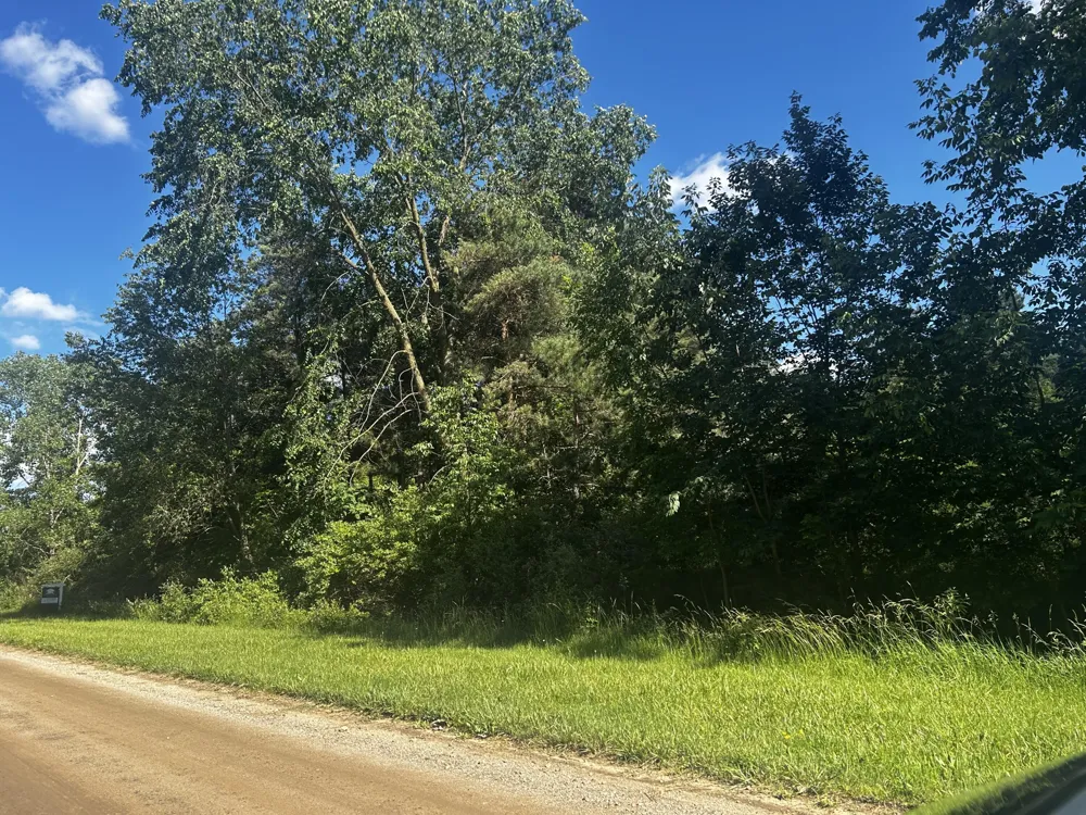 W Ranger Road #119 lot Perrinton, MI 48871