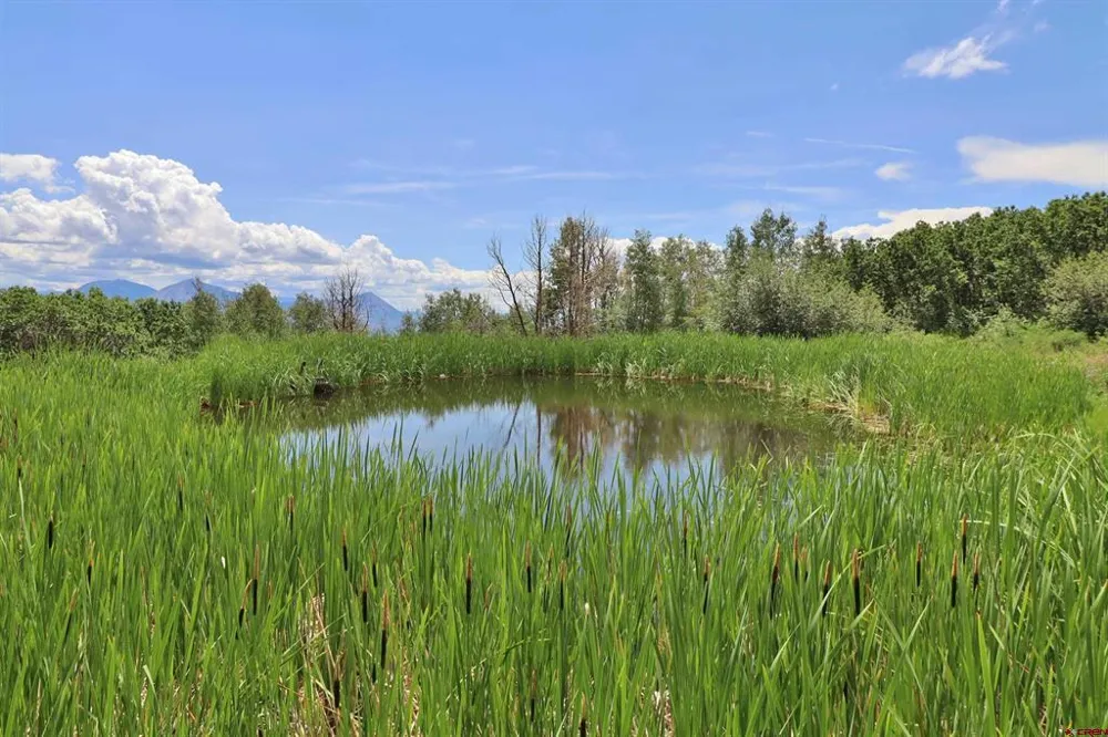 37830 Roatcap Road Paonia, CO 81428