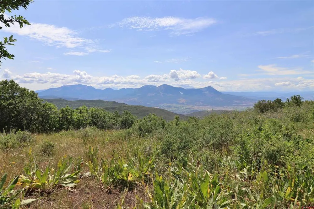 37830 Roatcap Road Paonia, CO 81428