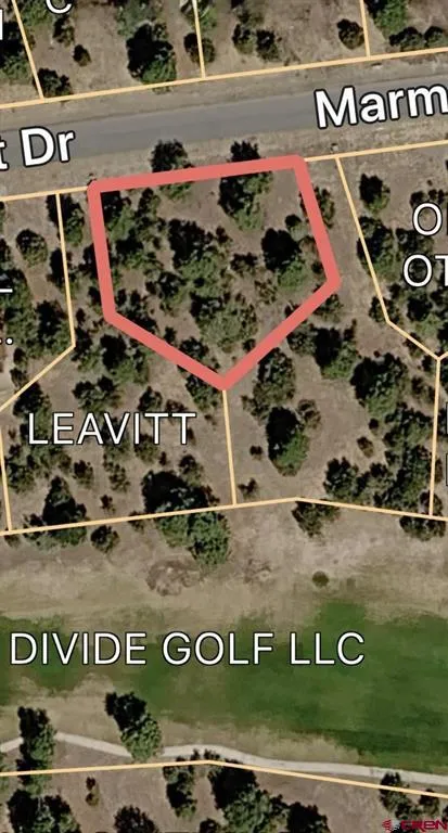 1711 Marmot Drive Ridgway, CO 81432