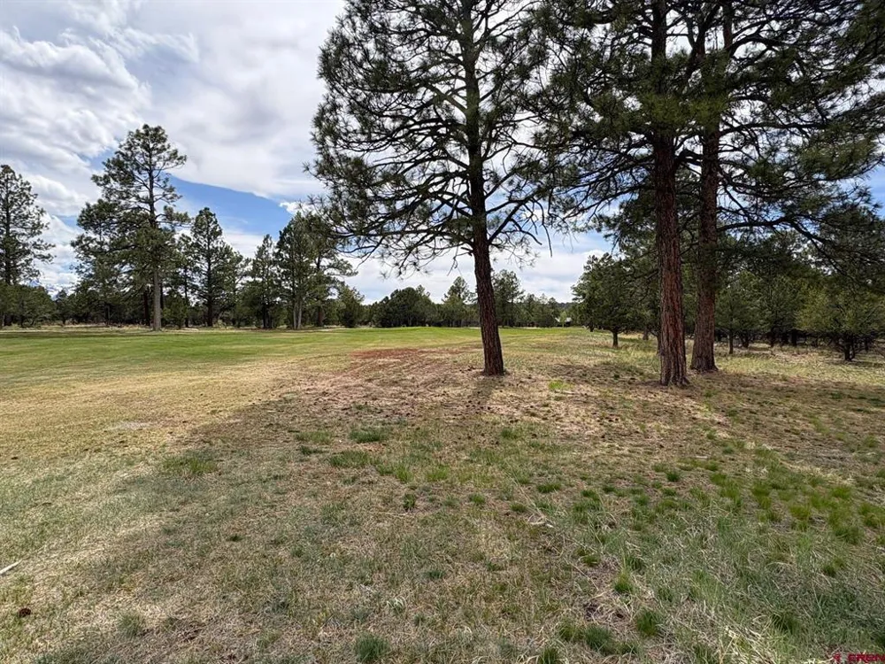 1711 Marmot Drive Ridgway, CO 81432