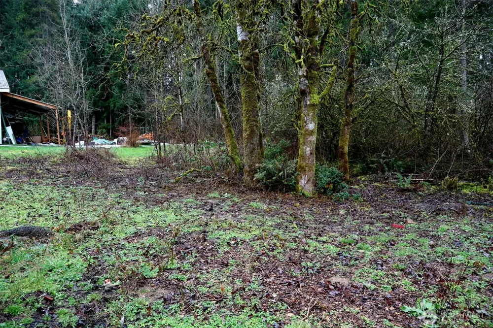 306 Minkler Rd Winlock, WA 98596