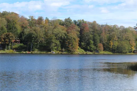 Trout Brook Road