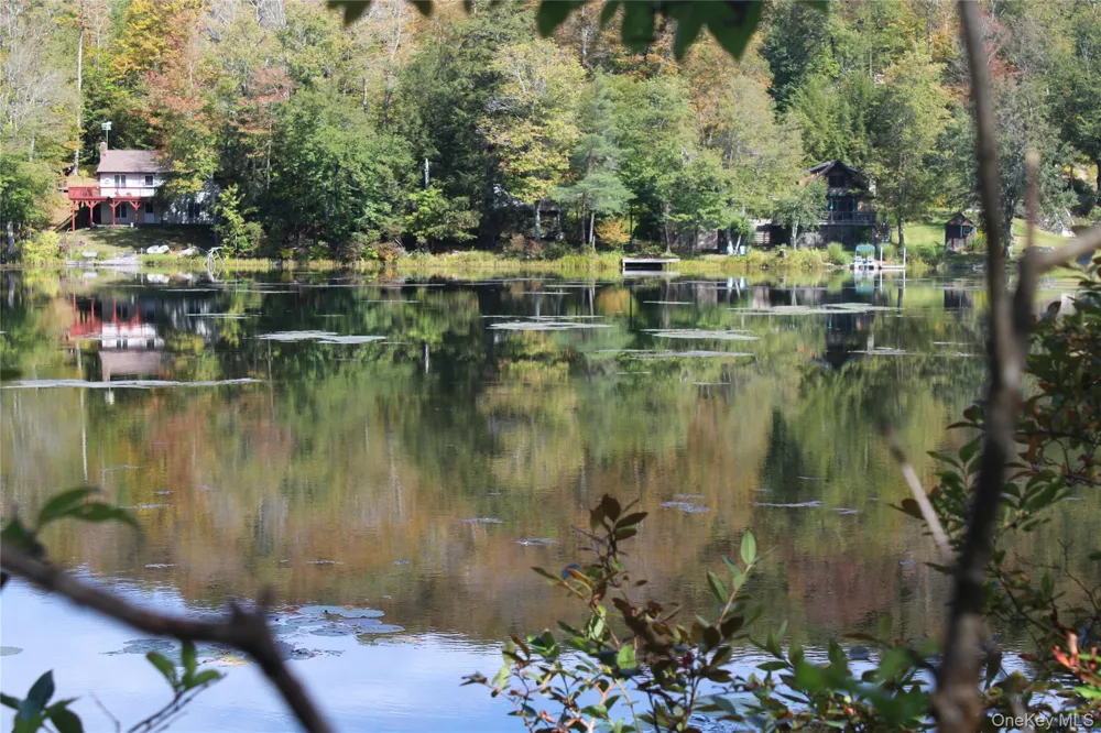 Trout Brook Road Roscoe, NY 12736