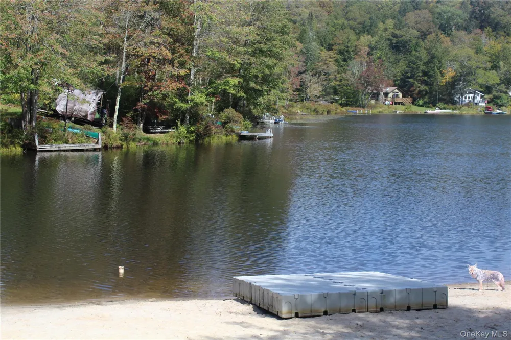 Trout Brook Road Roscoe, NY 12736