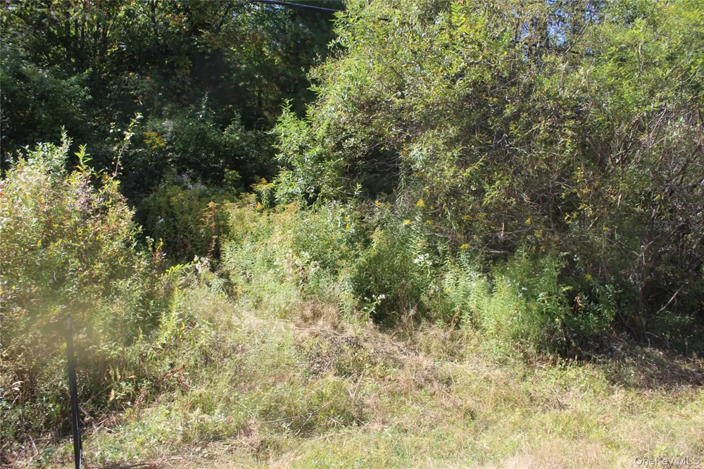 Trout Brook Road Roscoe, NY 12736