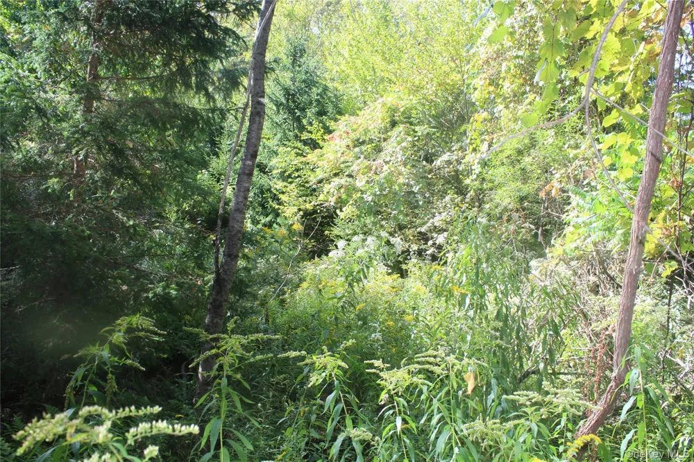 Trout Brook Road Roscoe, NY 12736