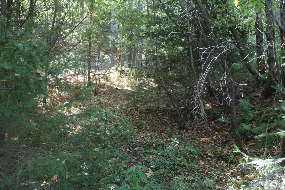Trout Brook Road Roscoe, NY 12736