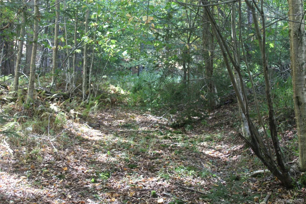 Trout Brook Road Roscoe, NY 12736
