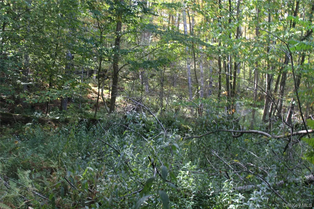 Trout Brook Road Roscoe, NY 12736