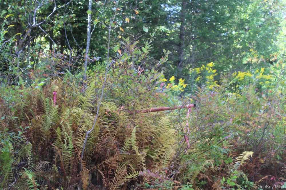 Trout Brook Road Roscoe, NY 12736