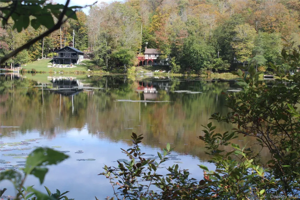 Trout Brook Road Roscoe, NY 12736