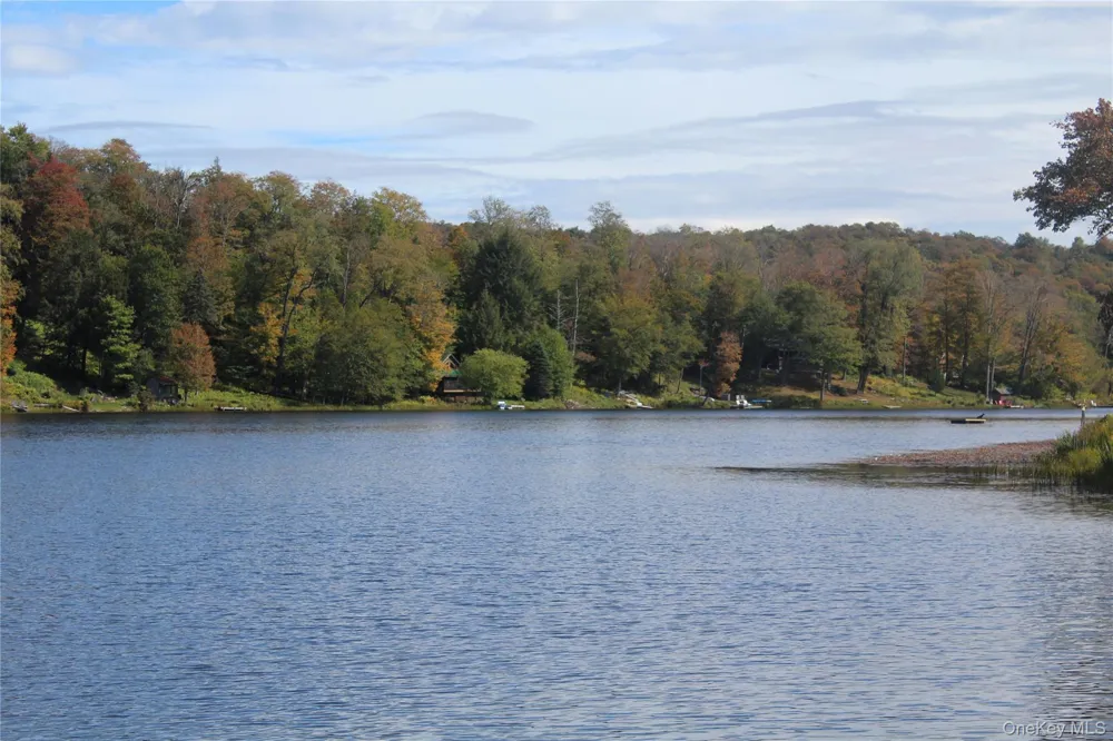 Trout Brook Road Roscoe, NY 12736