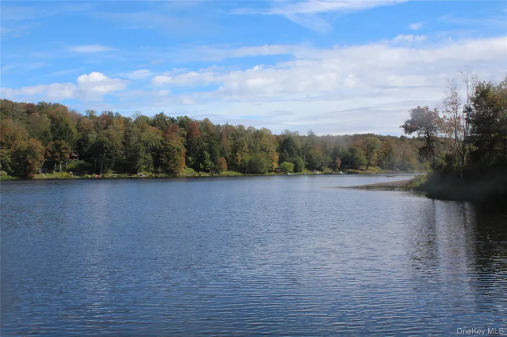 Trout Brook Road Roscoe, NY 12736