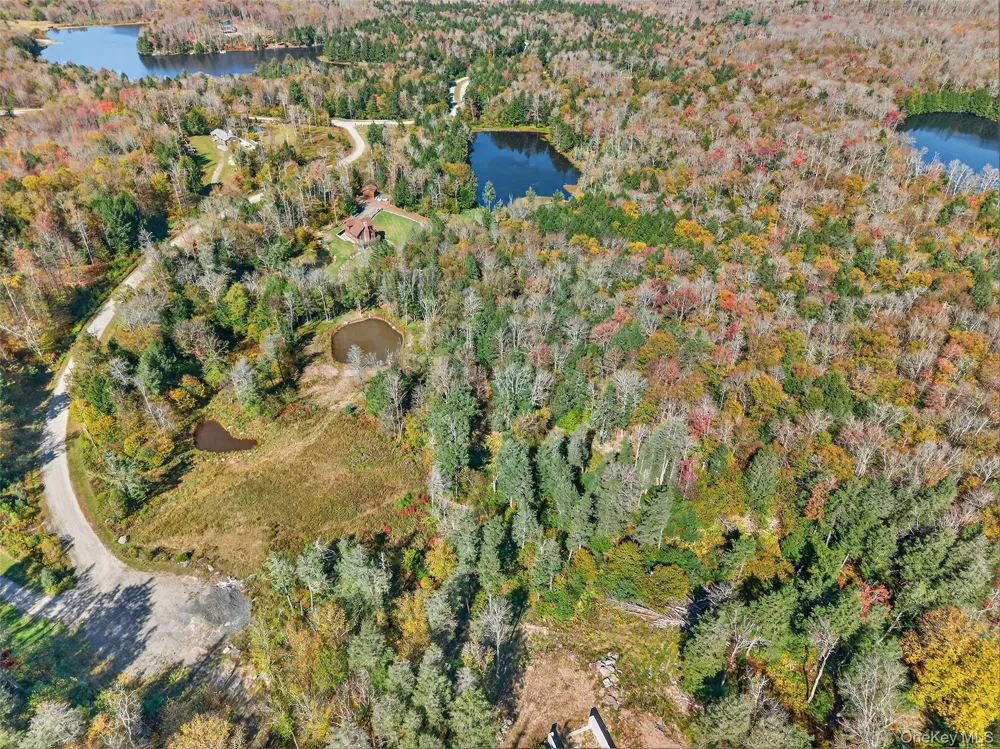 TBD Black Bear Crossing Parksville, NY 12768