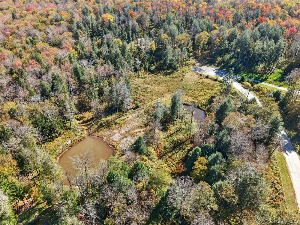 TBD Black Bear Crossing Parksville, NY 12768