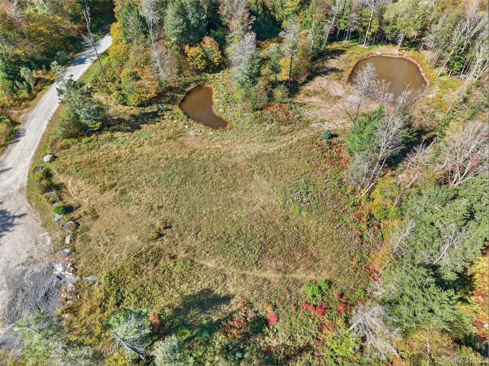 TBD Black Bear Crossing Parksville, NY 12768