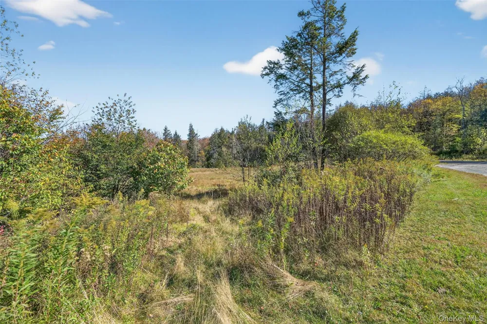 TBD Black Bear Crossing Parksville, NY 12768