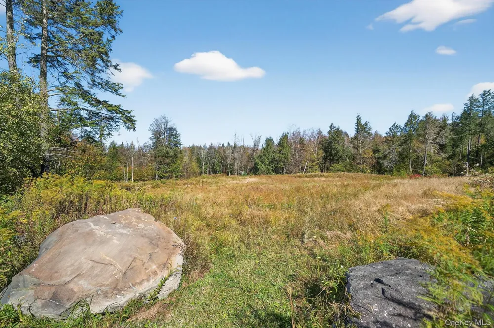 TBD Black Bear Crossing Parksville, NY 12768