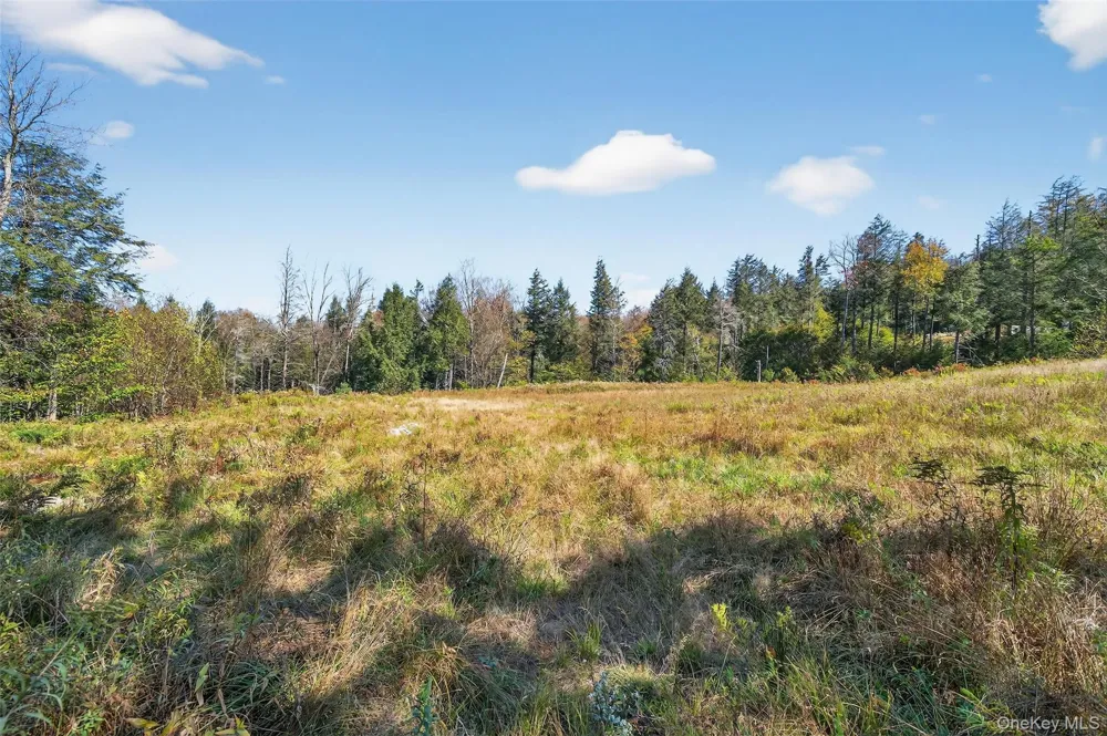 TBD Black Bear Crossing Parksville, NY 12768