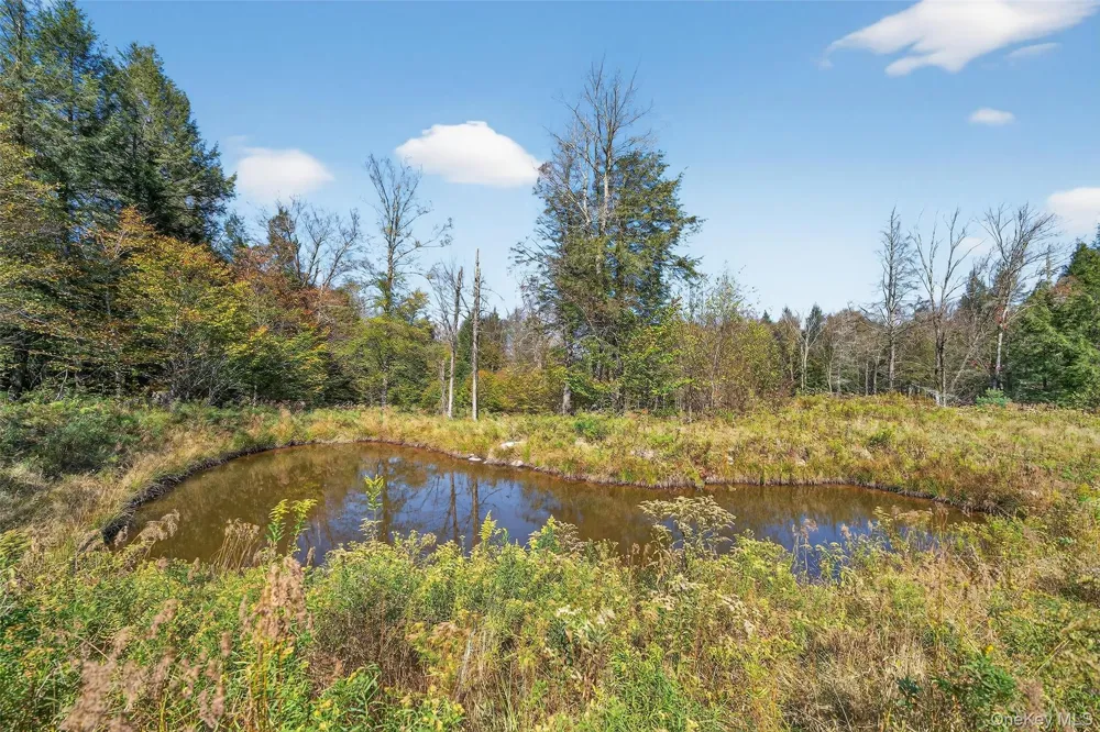 TBD Black Bear Crossing Parksville, NY 12768