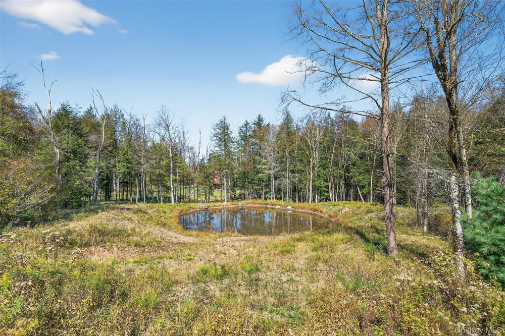 TBD Black Bear Crossing Parksville, NY 12768