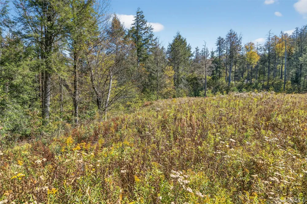 TBD Black Bear Crossing Parksville, NY 12768