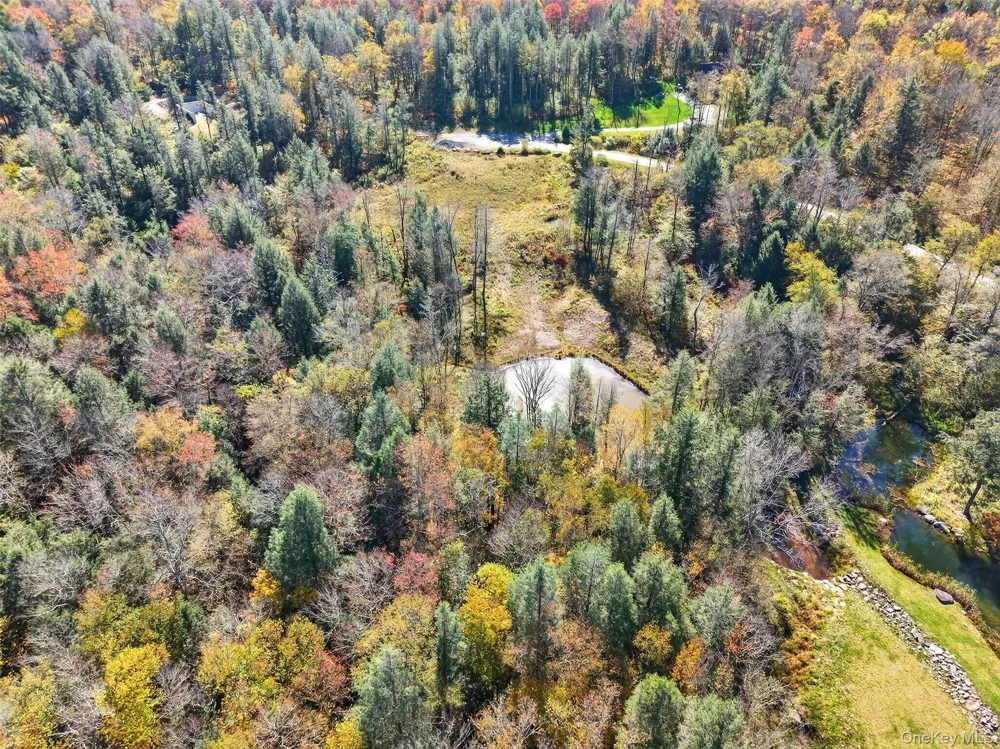 TBD Black Bear Crossing Parksville, NY 12768