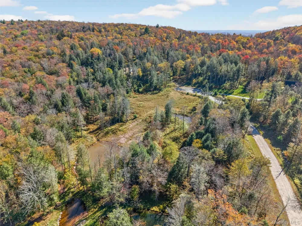 TBD Black Bear Crossing Parksville, NY 12768
