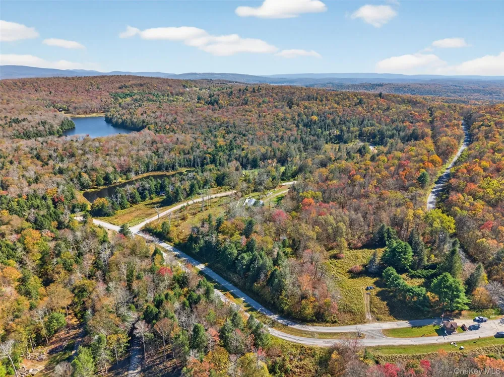 TBD Black Bear Crossing Parksville, NY 12768