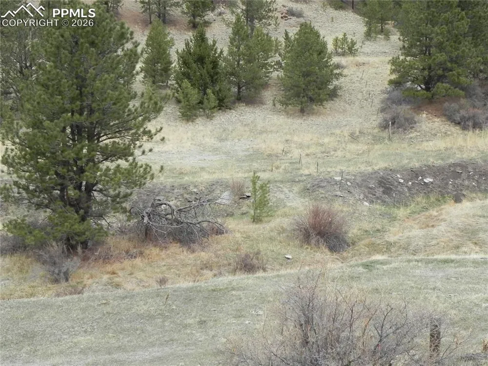 521 Monarch Drive Cripple Creek, CO 80813