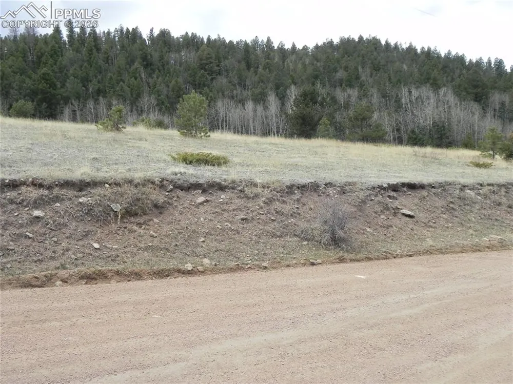 521 Monarch Drive Cripple Creek, CO 80813