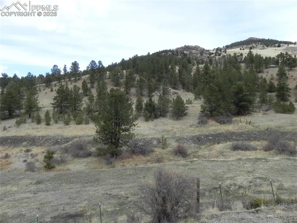 521 Monarch Drive Cripple Creek, CO 80813