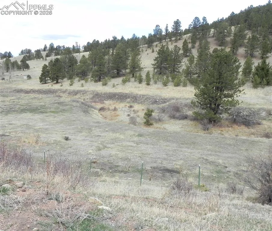 521 Monarch Drive Cripple Creek, CO 80813
