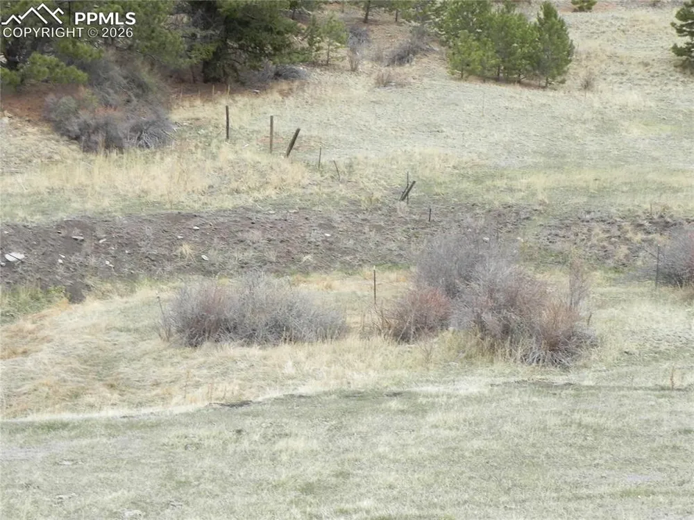 521 Monarch Drive Cripple Creek, CO 80813
