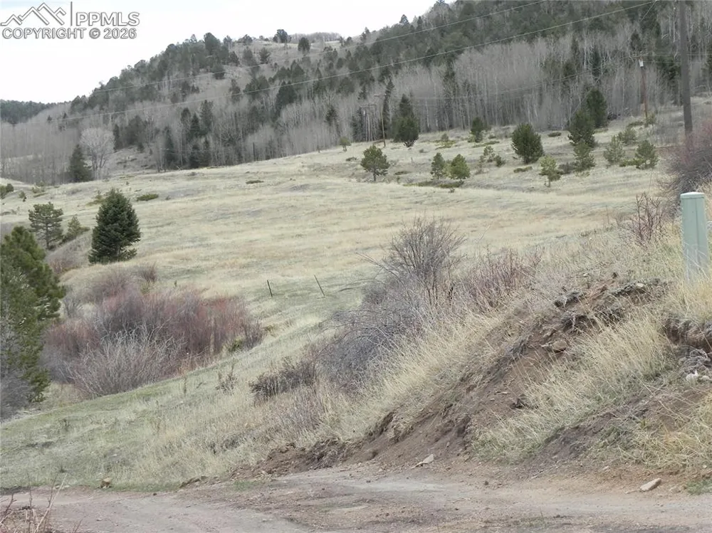 521 Monarch Drive Cripple Creek, CO 80813